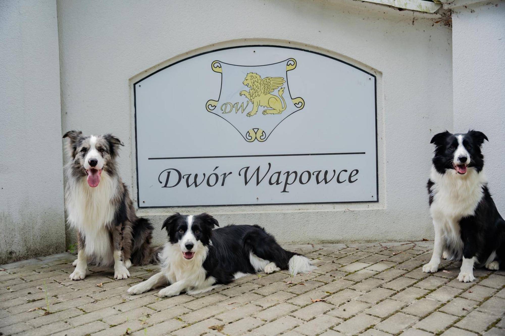 Hotel Dwór Wapowce Exterior foto